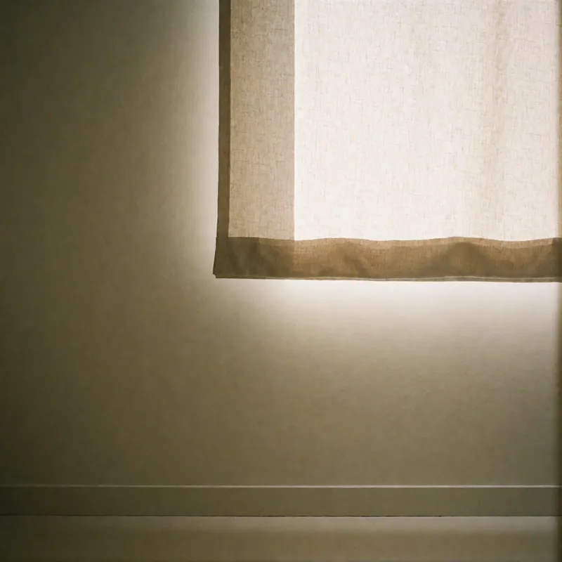 Morning light in the clinic at Woodside Physical Therapy